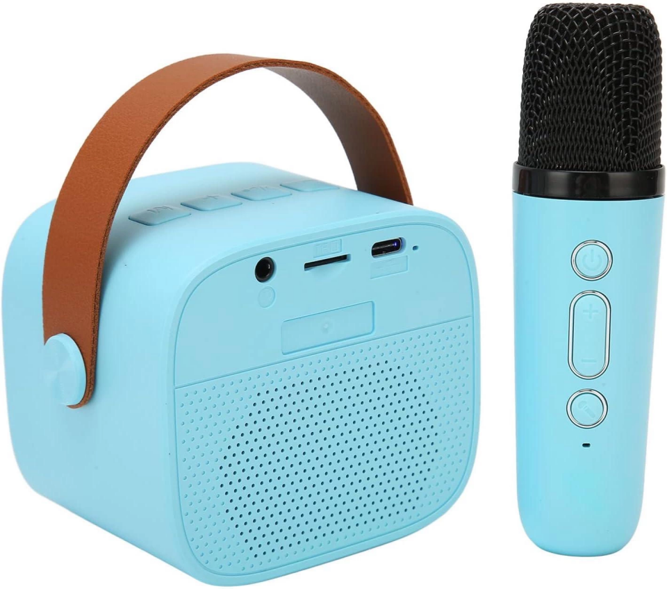 SP-01 MAVİ KARAOKE MİKROFON